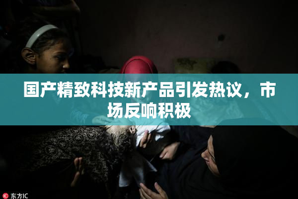 国产精致科技新产品引发热议，市场反响积极