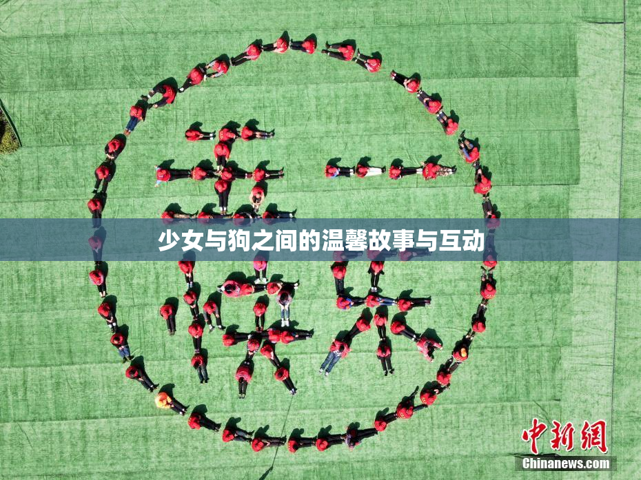少女与狗之间的温馨故事与互动