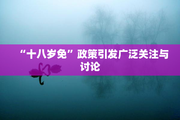 “十八岁免”政策引发广泛关注与讨论