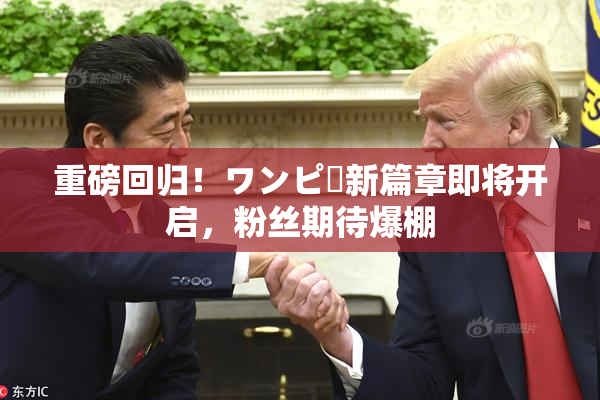 重磅回归！ワンピー新篇章即将开启，粉丝期待爆棚