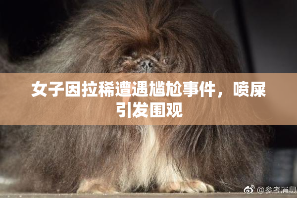 女子因拉稀遭遇尴尬事件，喷屎引发围观
