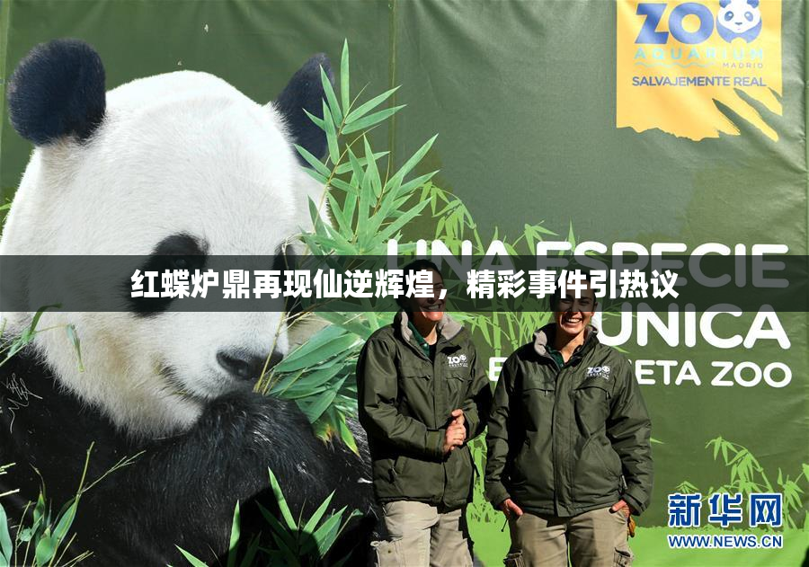 红蝶炉鼎再现仙逆辉煌，精彩事件引热议