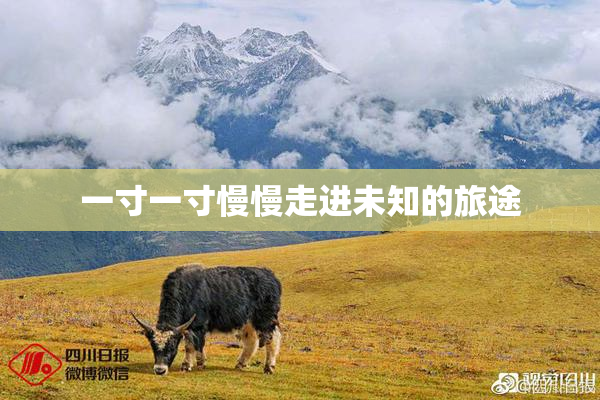 一寸一寸慢慢走进未知的旅途
