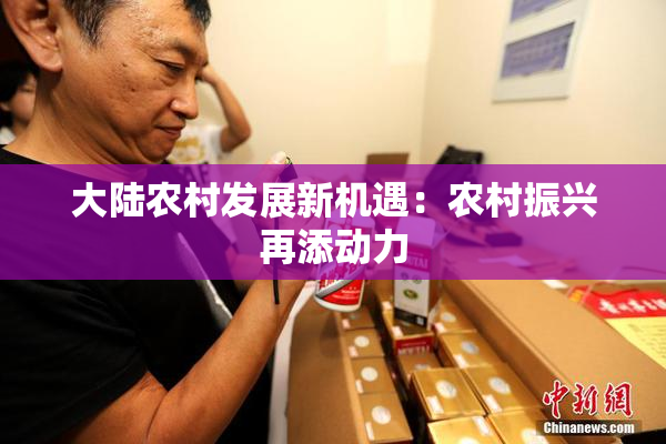 大陆农村发展新机遇：农村振兴再添动力