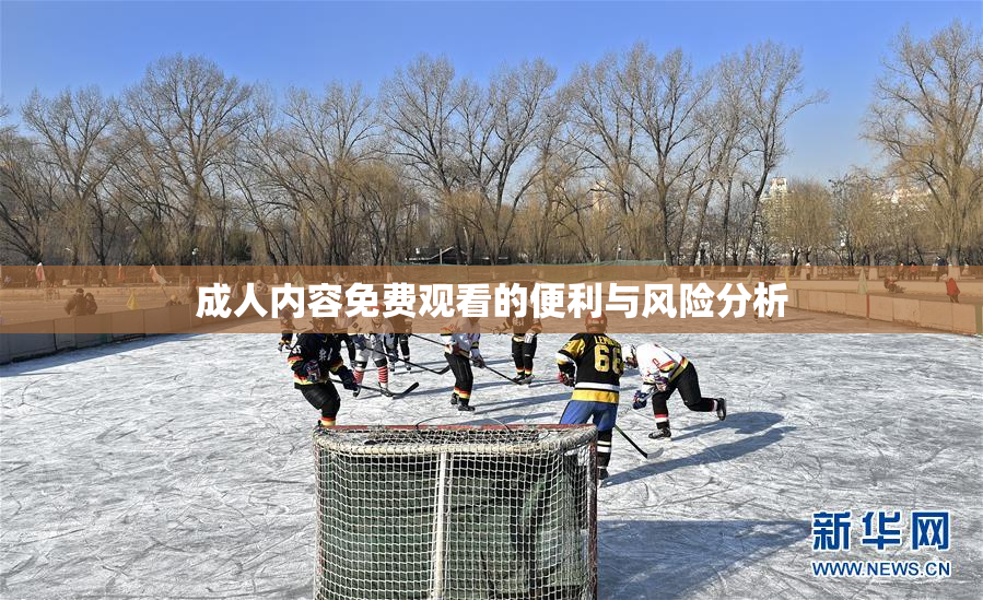 成人内容免费观看的便利与风险分析