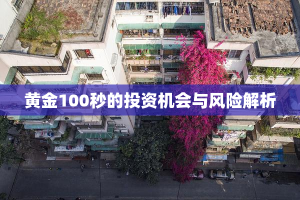 黄金100秒的投资机会与风险解析