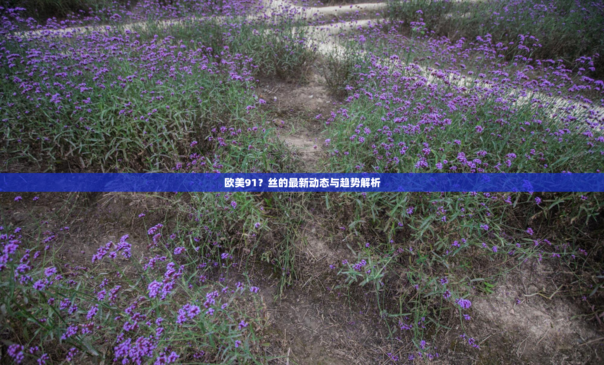 欧美91？丝的最新动态与趋势解析