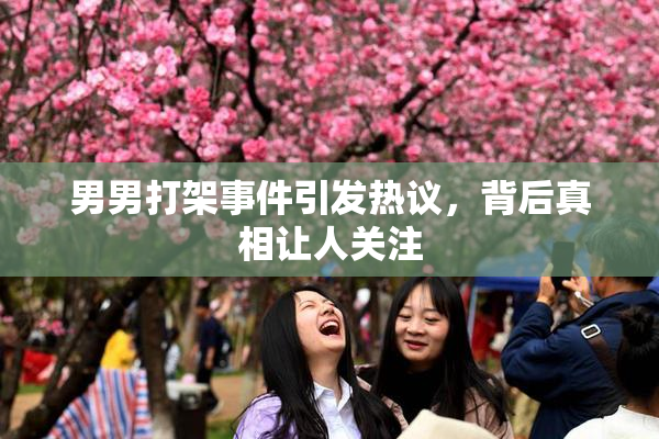 男男打架事件引发热议，背后真相让人关注