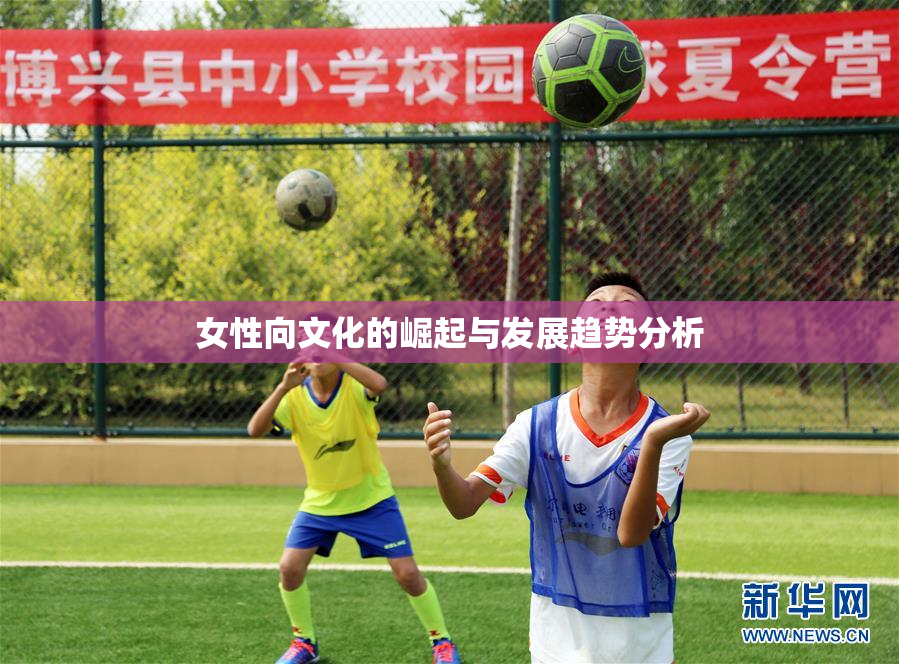 女性向文化的崛起与发展趋势分析