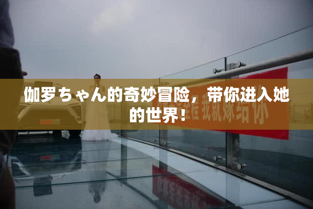 伽罗ちゃん的奇妙冒险，带你进入她的世界！