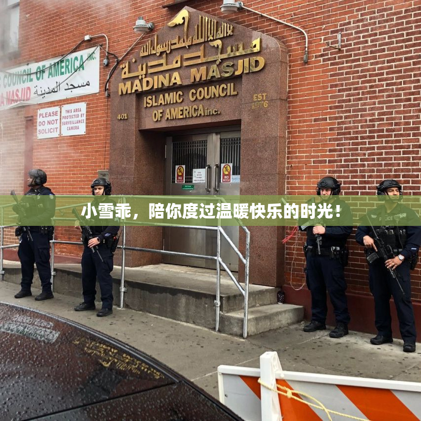 小雪乖，陪你度过温暖快乐的时光！