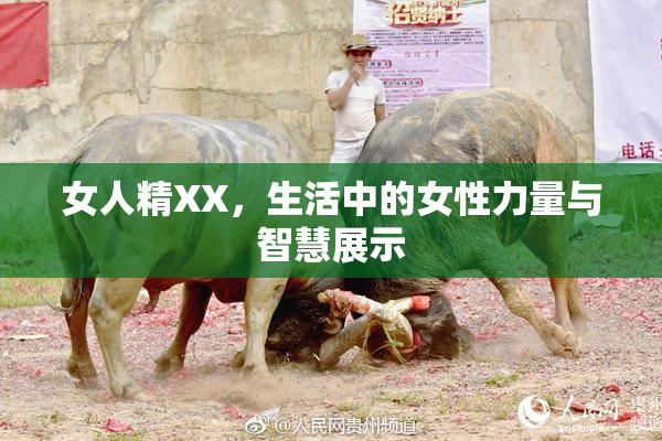 女人精XX，生活中的女性力量与智慧展示
