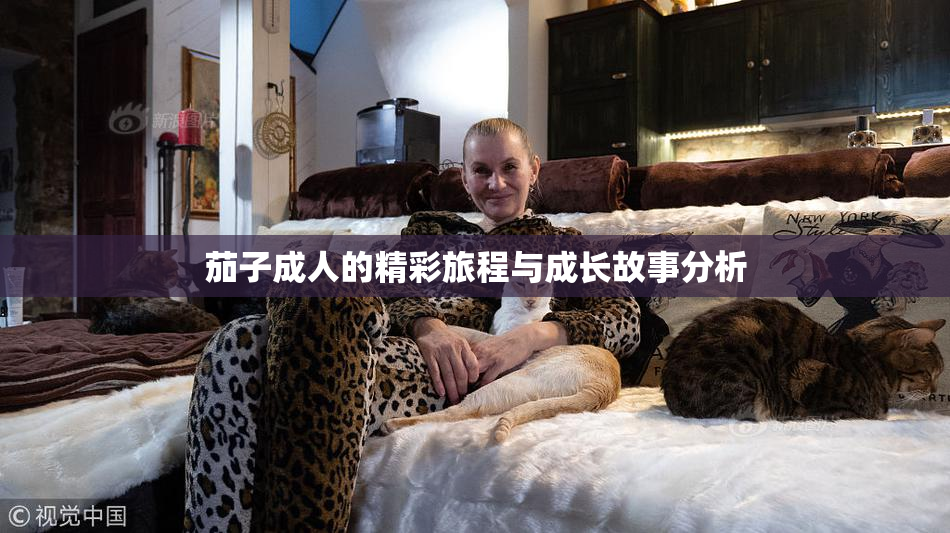 茄子成人的精彩旅程与成长故事分析