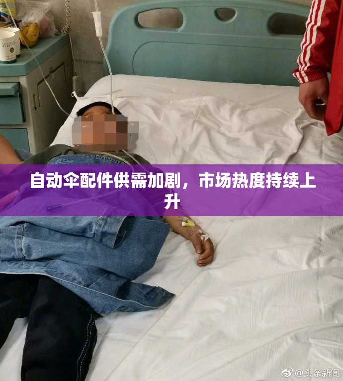 自动伞配件供需加剧，市场热度持续上升