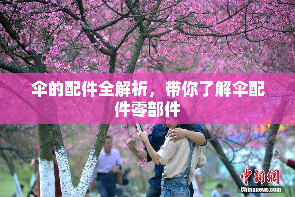 伞的配件全解析，带你了解伞配件零部件