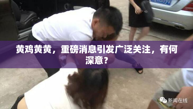 黄鸡黄黄，重磅消息引发广泛关注，有何深意？