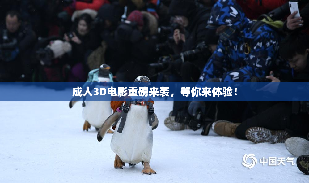 成人3D电影重磅来袭，等你来体验！