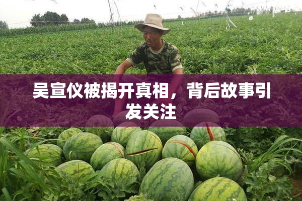 吴宣仪被揭开真相，背后故事引发关注