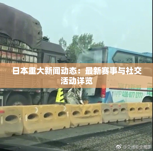 日本重大新闻动态：最新赛事与社交活动详览