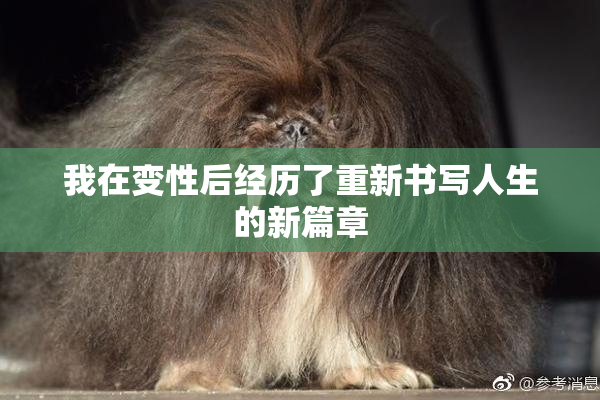 我在变性后经历了重新书写人生的新篇章