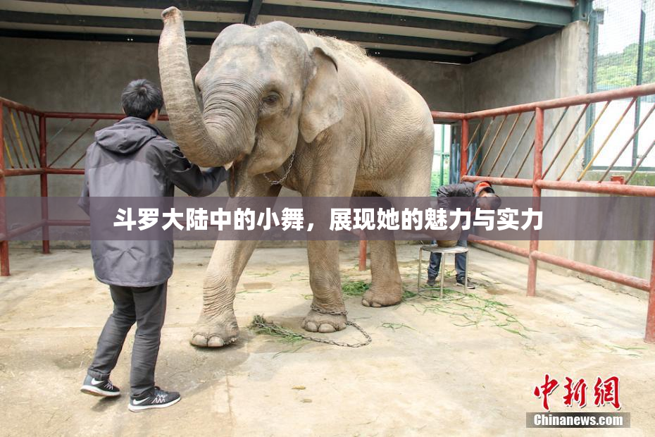 斗罗大陆中的小舞，展现她的魅力与实力