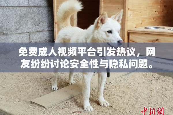 免费成人视频平台引发热议，网友纷纷讨论安全性与隐私问题。