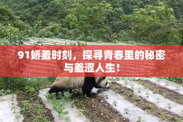 91娇羞时刻，探寻青春里的秘密与羞涩人生！