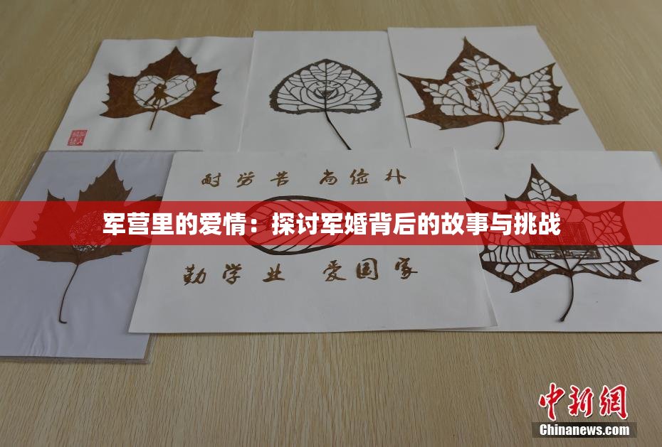 军营里的爱情：探讨军婚背后的故事与挑战