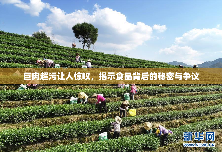 巨肉超污让人惊叹，揭示食品背后的秘密与争议