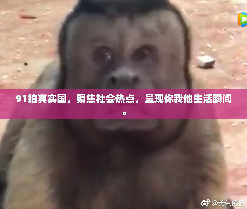 91拍真实国，聚焦社会热点，呈现你我他生活瞬间。