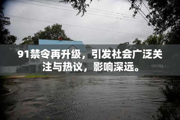91禁令再升级，引发社会广泛关注与热议，影响深远。