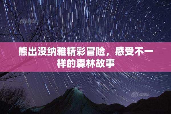 熊出没纳雅精彩冒险，感受不一样的森林故事