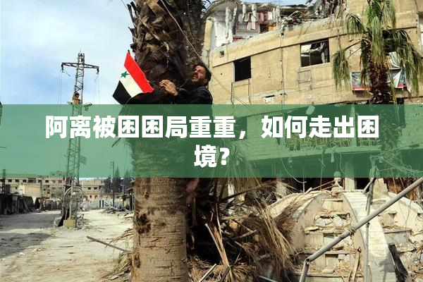 阿离被困困局重重，如何走出困境？