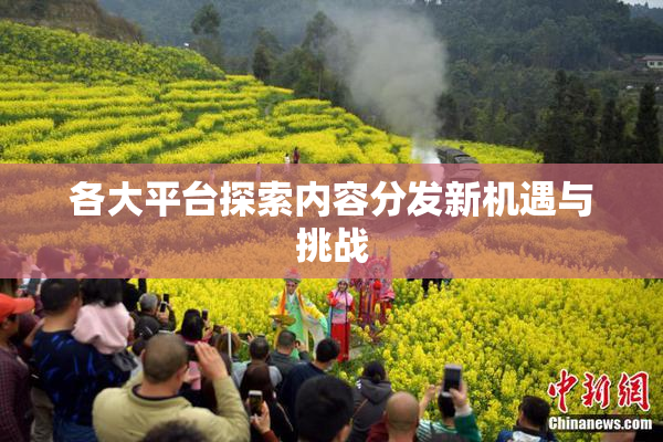 各大平台探索内容分发新机遇与挑战