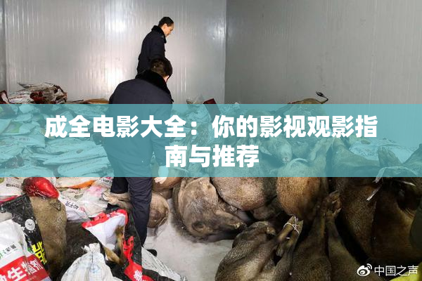 成全电影大全：你的影视观影指南与推荐
