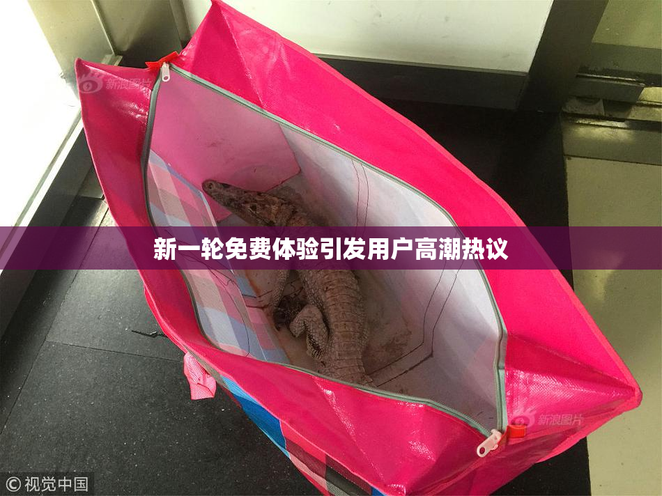 新一轮免费体验引发用户高潮热议