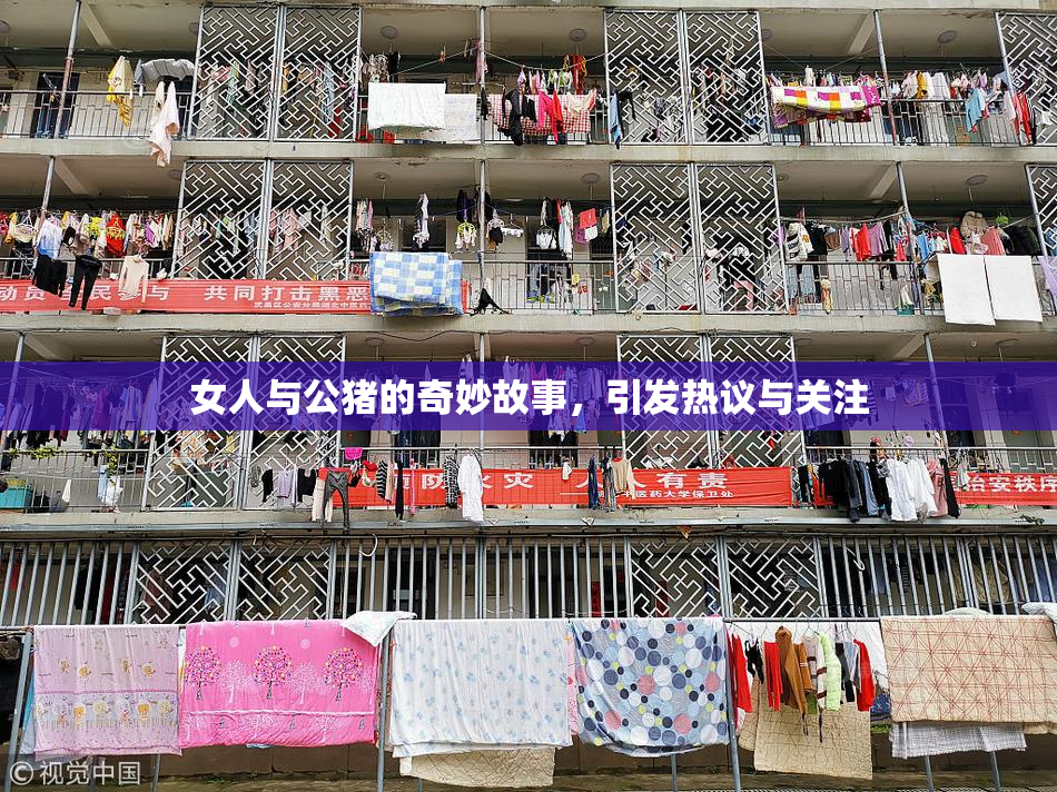 女人与公猪的奇妙故事，引发热议与关注