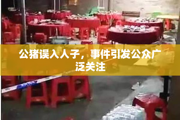公猪误入人子，事件引发公众广泛关注