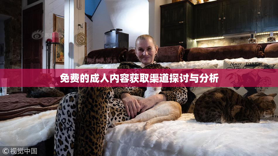 免费的成人内容获取渠道探讨与分析