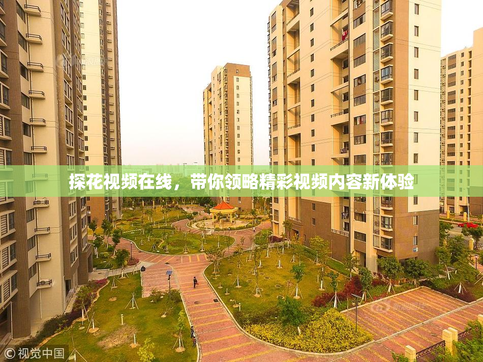 探花视频在线，带你领略精彩视频内容新体验