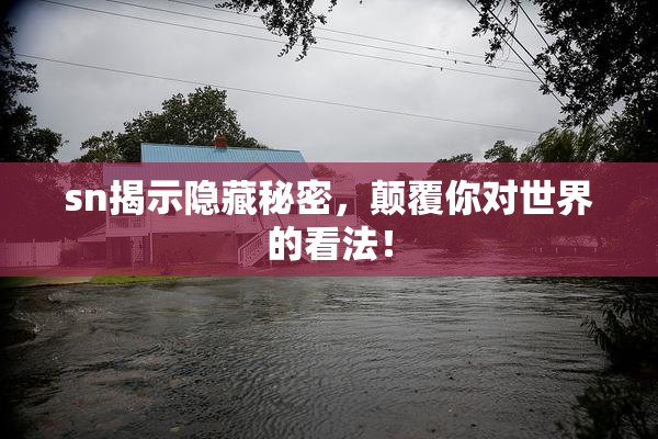 sn揭示隐藏秘密，颠覆你对世界的看法！