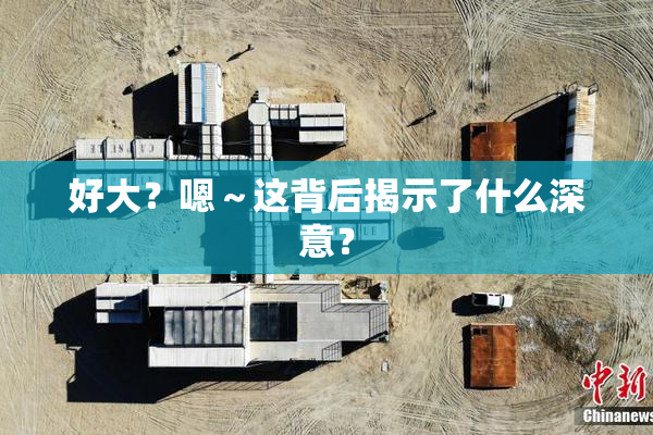 好大？嗯～这背后揭示了什么深意？