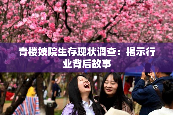 青楼妓院生存现状调查：揭示行业背后故事