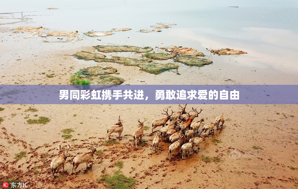 男同彩虹携手共进，勇敢追求爱的自由