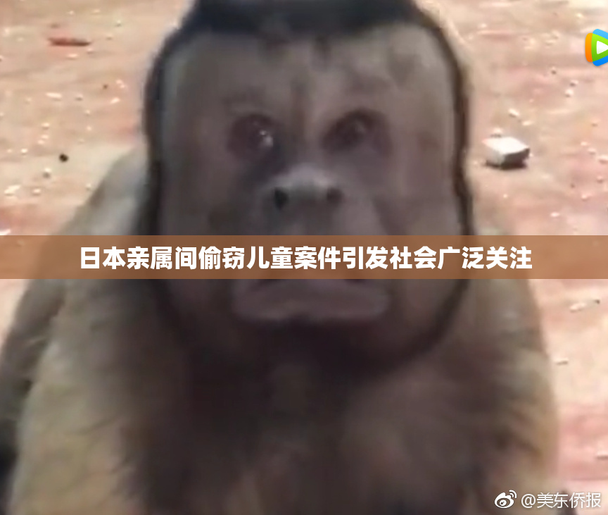 日本亲属间偷窃儿童案件引发社会广泛关注
