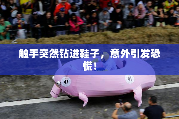 触手突然钻进鞋子，意外引发恐慌！
