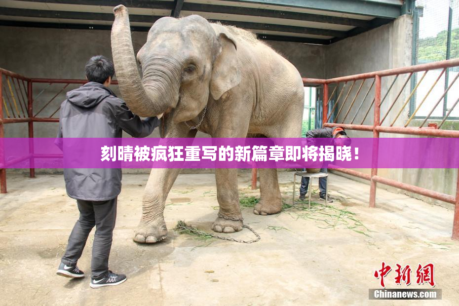 刻晴被疯狂重写的新篇章即将揭晓！