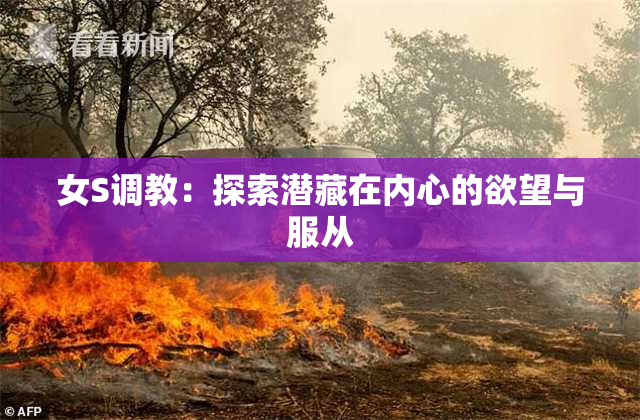女S调教：探索潜藏在内心的欲望与服从
