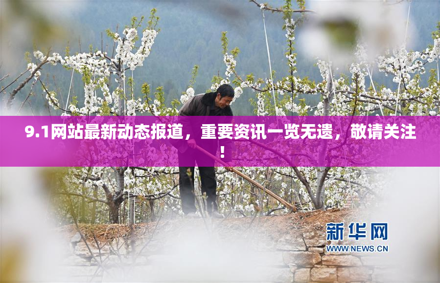 9.1网站最新动态报道，重要资讯一览无遗，敬请关注！