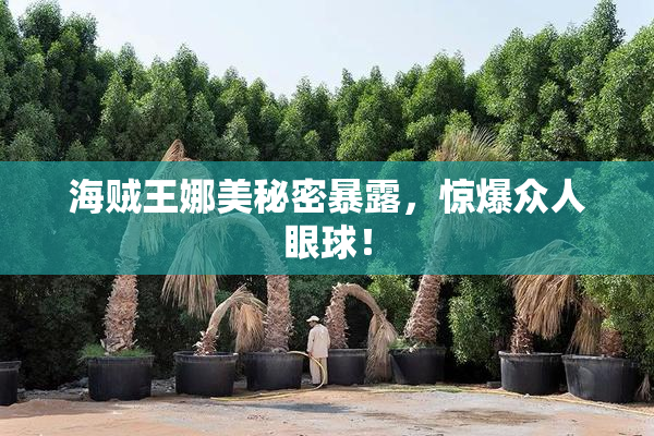 海贼王娜美秘密暴露，惊爆众人眼球！